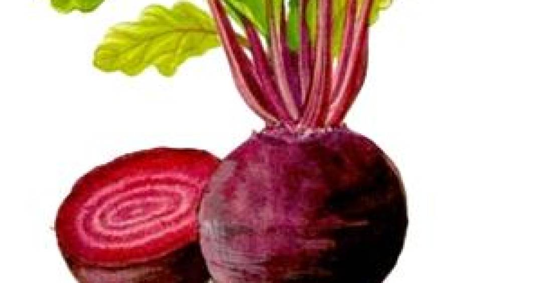 folhas-da-beterraba-podem-atuar-na-prevencao-do-cancer-intestinal,-aponta-pesquisa-brasileira