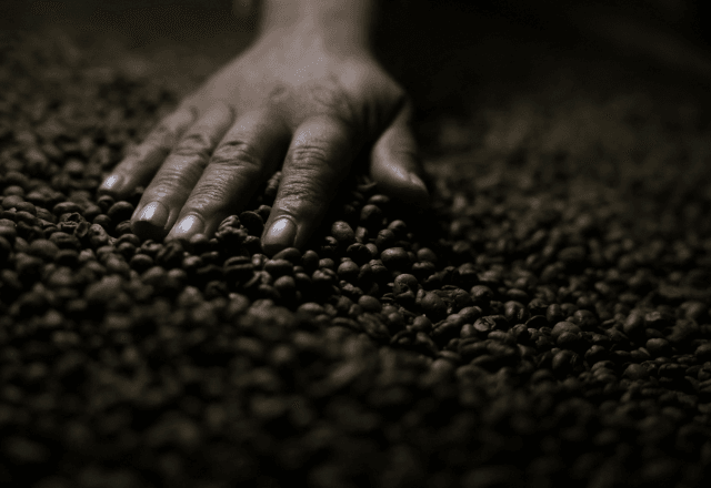 exportacoes-de-cafe-do-brasil-aos-eua-devem-cair-ainda-mais-se-tarifas-continuarem,-diz-cecafe
