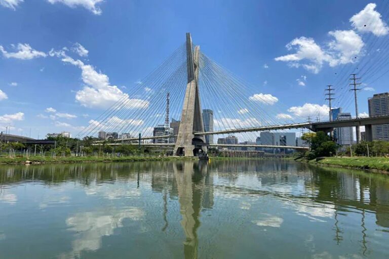 Pinheiros lidera ranking contra desperdício de alimentos em São Paulo, aponta pesquisa