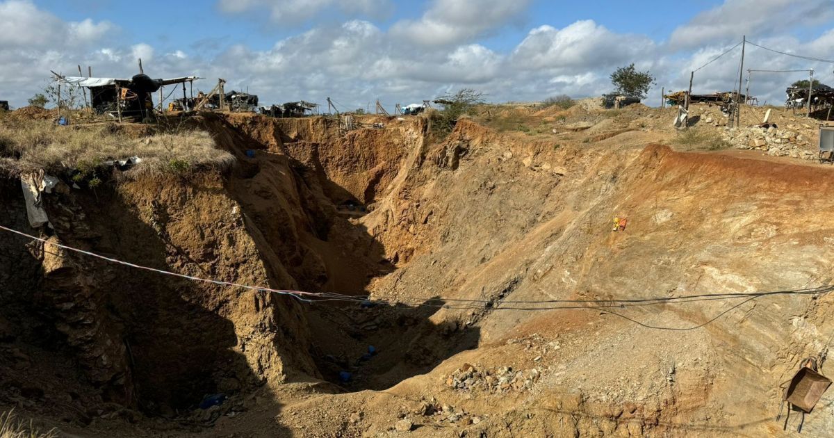 crime-ambiental-e-ecossistema-de-atividades-ilegais,-diz-pesquisadora