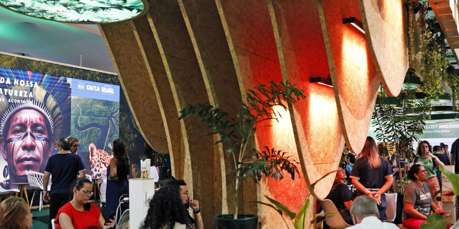 cop30-discute-meios-de-aumentar-o-numero-de-arvores-nas-cidades