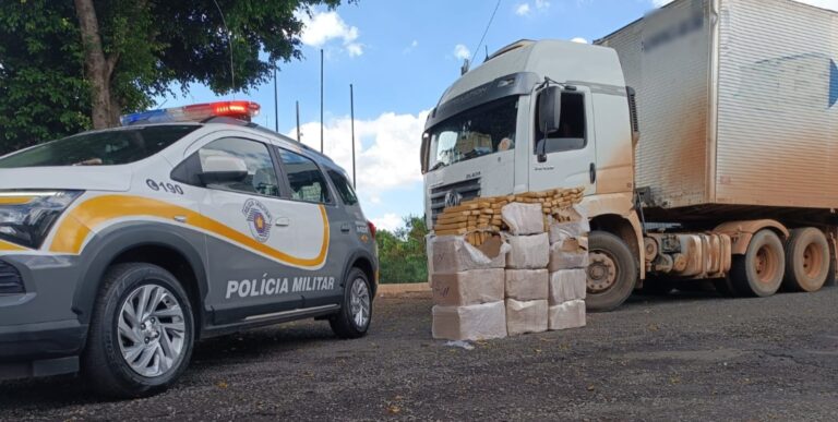 PM RODOVIÁRIA APREENDE MAIS DE 440 KG DE MACONHA EM CAMINHÃO NO INTERIOR DE SP