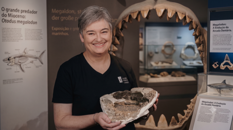 MEGALODON GIGANTES DO EXTINTO